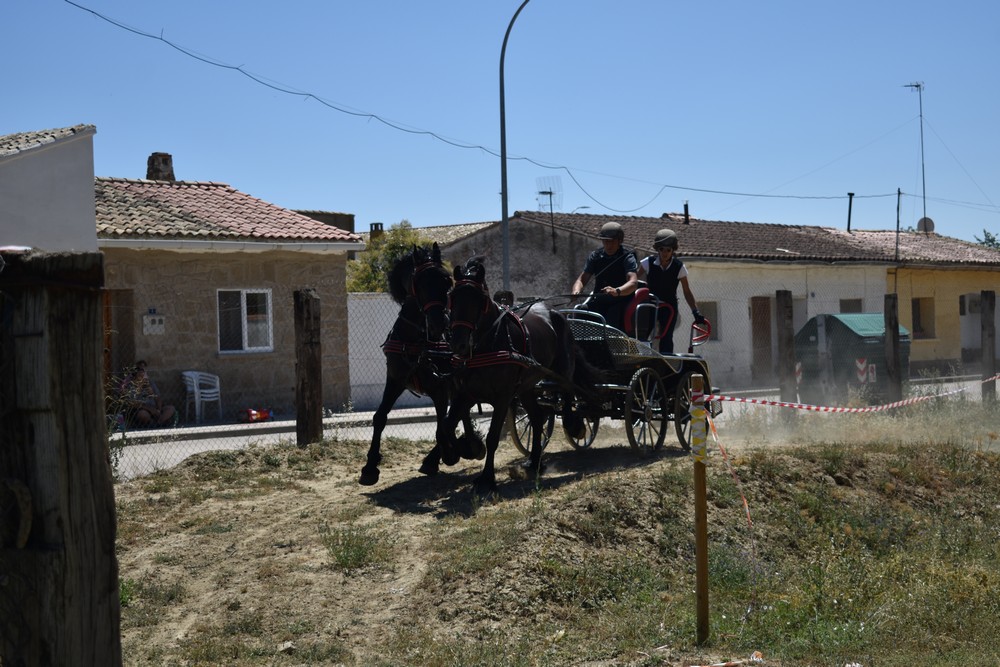 Primera Fase del Campeonato Navarro de Enganches Obstáculos